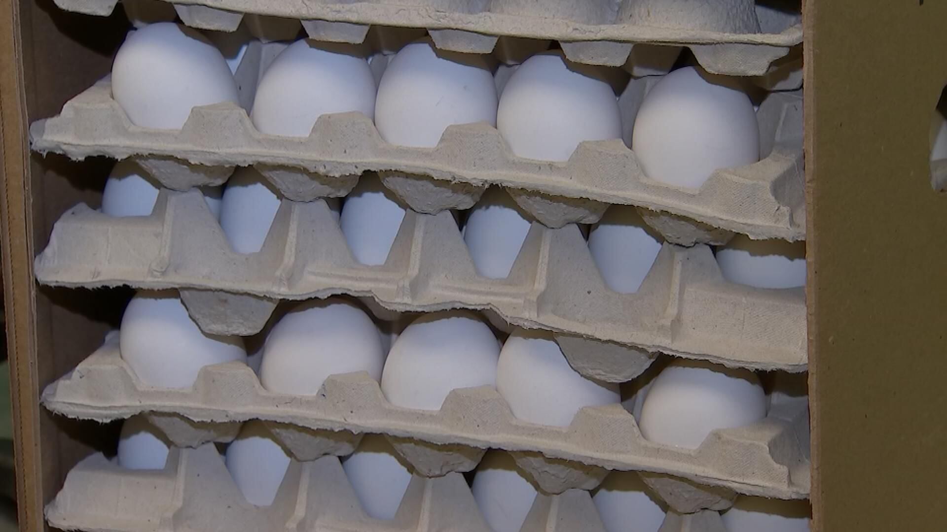 Grade A Large Eggs, 12 Count